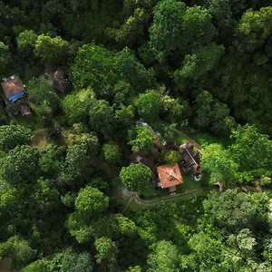 Mahout Wayanad - An Experiential Jungle With Waterfall Kalpetta